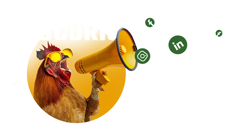 Équipe HFC – cocorico nous